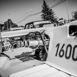 zigulis-80